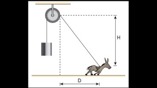 Um burro deslocandose para a direita sobre o solo plano e horizontal iça verticalmente uma carga… [upl. by Releyks]