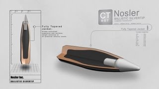 Combined Technology Ballistic Silvertip Bullet [upl. by Allemrac]