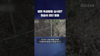 영화 혹성탈출 실사판…미 연구소서 원숭이 43마리 집단 탈출 shorts  KBS [upl. by Anawot464]