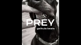 FREE Dark Trap Beat  quotPREY prodby galikula [upl. by Friedman]