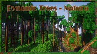 Dynamic Trees – Natura Mod 1122 amp How To Install for Minecraft [upl. by Cressler]