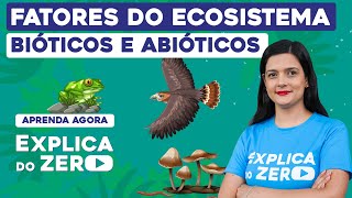 FATORES DO ECOSSISTEMA bióticos e abióticos  Biologia  Explica do Zero  Cláudia de Souza Aguiar [upl. by Ferino847]