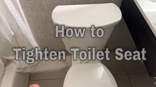 American Standard Toilet  How to Tighten Toilet Seat [upl. by Donnie]