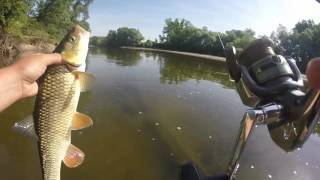 Pêche au leurre du chevesne et du silure en Loire GoPro HD [upl. by Xineohp]