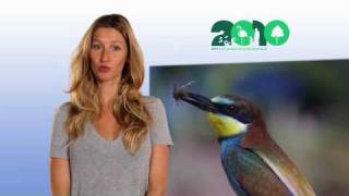 Mensagem de Gisele Bündchen sobre o Ano Internacional da Biodiversidade [upl. by Orlene349]