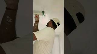 Berger Best Wall Primer  Berger Damp Stop short primer video primer colors viral trending [upl. by Aicetal]