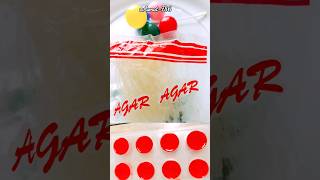 Agar Agar Asmat786 youtube ytshort seaweeds jelly recipe jellyart gelatine china grass [upl. by Selokcin968]