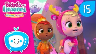 Episodios COMPLETOS 😍 BEBÉS LLORONES 💦 LÁGRIMAS MÁGICAS 💕 Vídeos para NIÑOS en ESPAÑOL [upl. by Vadnee]