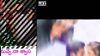 Nuvve Naa swasa song okariki okaru movie beautiful telugu songs by lakshmi [upl. by Felicie]