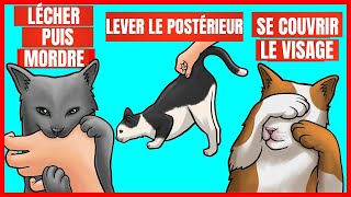 9 comportements étranges de votre chat et leurs significations  Incroyablement Top [upl. by Htial]