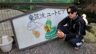 動物園っぽいとこ行ってきた！ [upl. by Lindie]