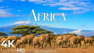 AFRICA 4K • Breathtaking Wildlife Tribal Music  Relaxation Film  Nature 4k Video UltraHD [upl. by Ynnad]