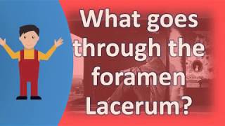 What goes through the foramen Lacerum   Better Health Channel [upl. by Grory]