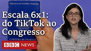 Escala 6x1 quais os próximos passos da proposta que pode mudar esquema de trabalho no Brasil [upl. by Suoirad69]