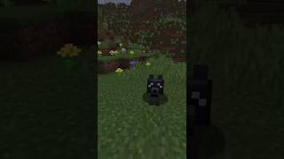 Discover Minecrafts 8 New Dog Variants [upl. by Dekeles329]