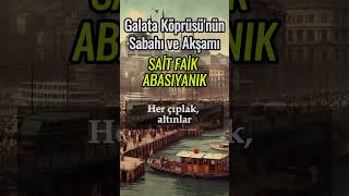 GALATA KÖPRÜSÜNÜN SABAHI VE AKŞAMI  Sait Faik Abasıyanık  Sesli Kitap  Seslendiren Barış Okkay [upl. by Livesay]