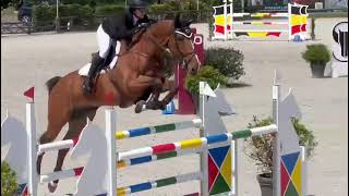 Gudrun Patteet amp BaronRR Z 7yo final CSI2 Lier 2024 [upl. by Elin]