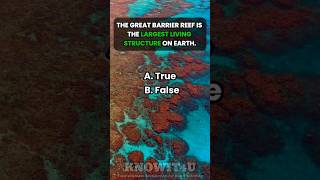 🐠🌏💡 True or False Is the Great Barrier Reef the Largest Living Structure on Earth trueorfalse [upl. by Radu]