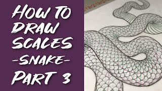 Episode 9 How to draw SCALES Snake  Part 3 [upl. by Zolner394]