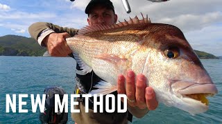 Fishing a new method  Big Snapper fishing New Zealand  Micro jig amp softbait [upl. by Atika]