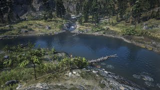 CARTE AU TRÉSOR CATTAIL POND RED DEAD ONLINE [upl. by Darci]