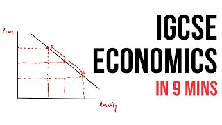 All of IGCSE Economics in 9 minutes summary [upl. by Plusch]