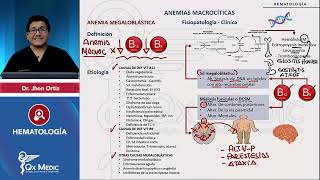 HEMATOLOGÍA  Anemias macrocíticas Anemia megaloblástica [upl. by Alfie]