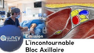 Lincontournable Bloc Axillaire [upl. by Anoerb]