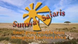 Sunway Safaris Namibia Etosha National Park [upl. by Aila795]