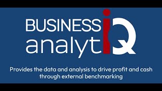 BusinessAnalytiq 90 second intro [upl. by Ellennod560]