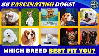 Guess The Dog Breed CHALLENGE Which Breed Best Fit You [upl. by Hayalat]