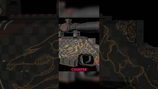 THE AWP MORTIS IS 500 YEARS OLD csgo skins gaming cs2 shorts [upl. by Enylorac809]