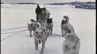 An InuitEskimo family in the Arctic 1959 [upl. by Ahsauqram]