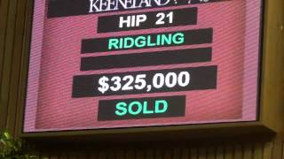 Keeneland Sept 2012 Opening Night [upl. by Kerwon143]