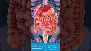 YOU NEED TO KNOW THIS ABOUT SODIUM BICARBONATE [upl. by Lapham]