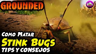 ✅ COMO MATAR STINK BUGS 🦗 Grounded Tutorial Español [upl. by Norris]