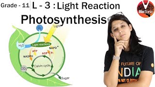 L 3 Photosynthesis in Higher Plants  Class 11 Biology  NEET 2020  AIIMS  Vaani Maam VBiotonic [upl. by Dahc]