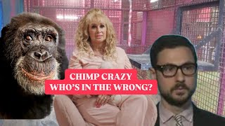 CHIMP CRAZY  WHOS IN THE WRONG [upl. by Burny]