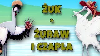 ŻUK  ŻURAW i CZAPLA Bajanie na ścianie [upl. by Ainerol812]