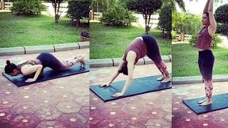 Actress Tamannaa bhatia yoga workout at home  Celebrity Gym  Tamannaa Videos Cinema Garage [upl. by Akinehc224]