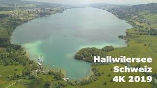 Hallwilersee  2019 4K  Top Ausflugsziele Schweiz [upl. by Niran]