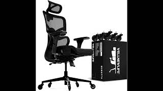 Review WELLNEW Prestige Ergonomic Office Chair with Adjustable Lumbar Support [upl. by Conan]