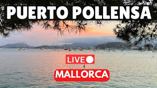 🔴LIVE in Puerto Pollensa Mallorca Majorca  4 August 2024 [upl. by Atsirk663]