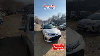 Toyota Corolla Axio Владивосток АВТО ПОД ЗАКАЗ 14112024 shorts автозаказ автоподборvdk [upl. by Pucida]