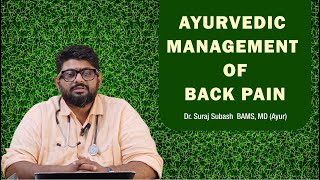 Best Ayurvedic Remedies for Back Pain Relief Proven Natural Treatmentsquot [upl. by Otho888]