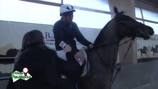 Horse ball au Boulerie Jump Le Mans [upl. by Brian146]