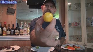 ⟹ Manzano Yellow Pepper  Capsicum pubescens  Pod Review [upl. by Stromberg]