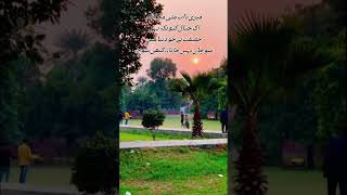 Muneeb Ansari Shayar ❤️‍🩹 muneebansari trendingshorts shayari sortvideo [upl. by Jemine8]