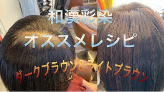 和漢彩染パウダー染めオススメレシピ公開 【自由が丘美容室13s hair】ワカンサイセン じゅうさんずへあー [upl. by Chalmer850]