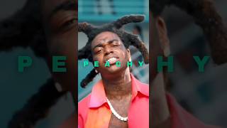 FLP Kodak Black Type Beat  Peachy typebeat kodakblacktypebeat flp freeflp flstudio beats [upl. by Rekyr148]